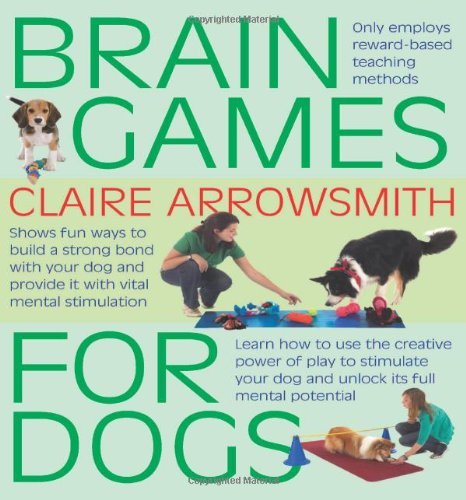 Brain games for dogs - games, fun
