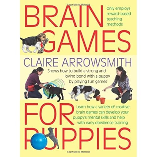 Brain games for puppies - games,
